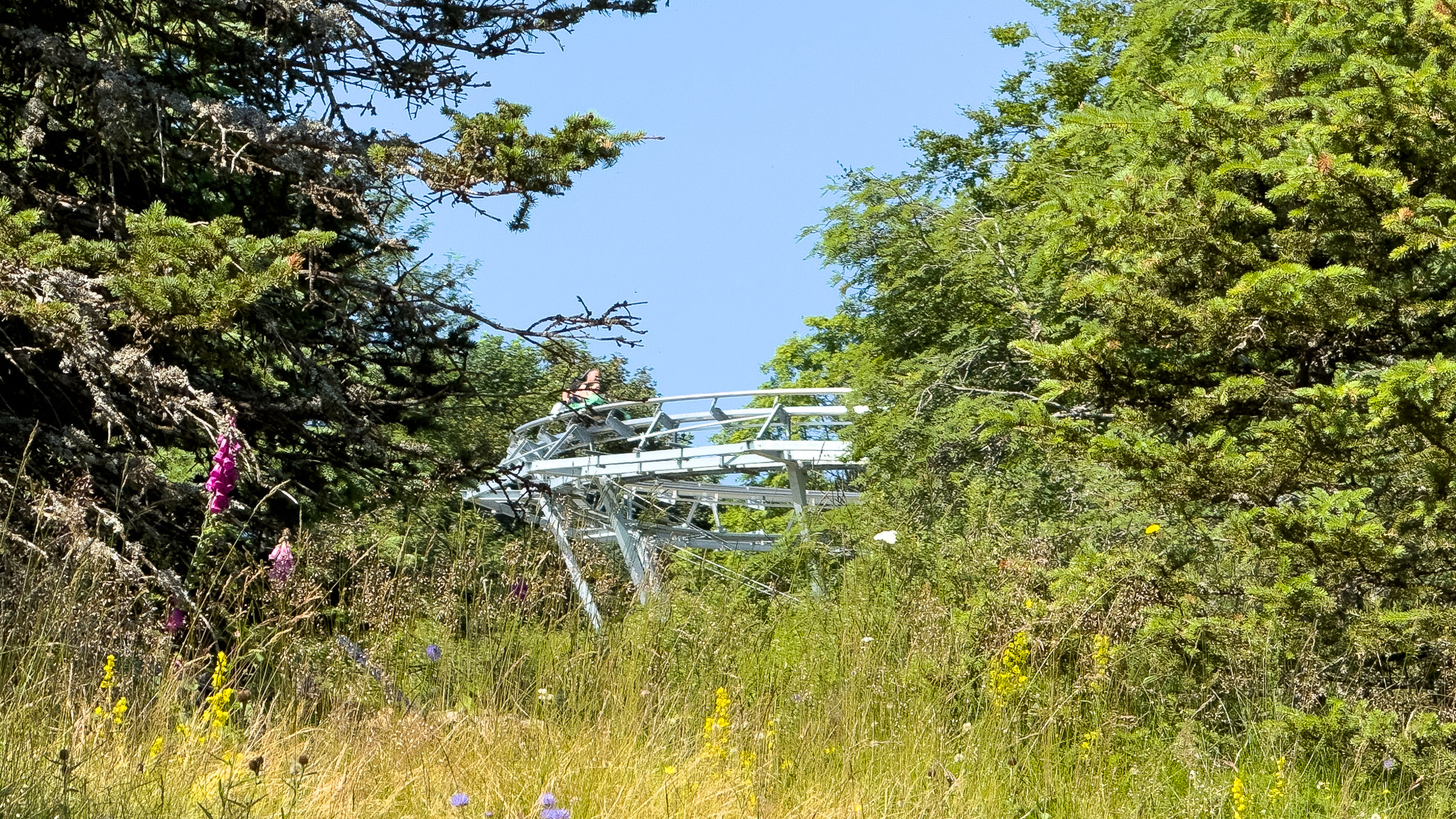 Super Coaster Super Besse - Duo descent