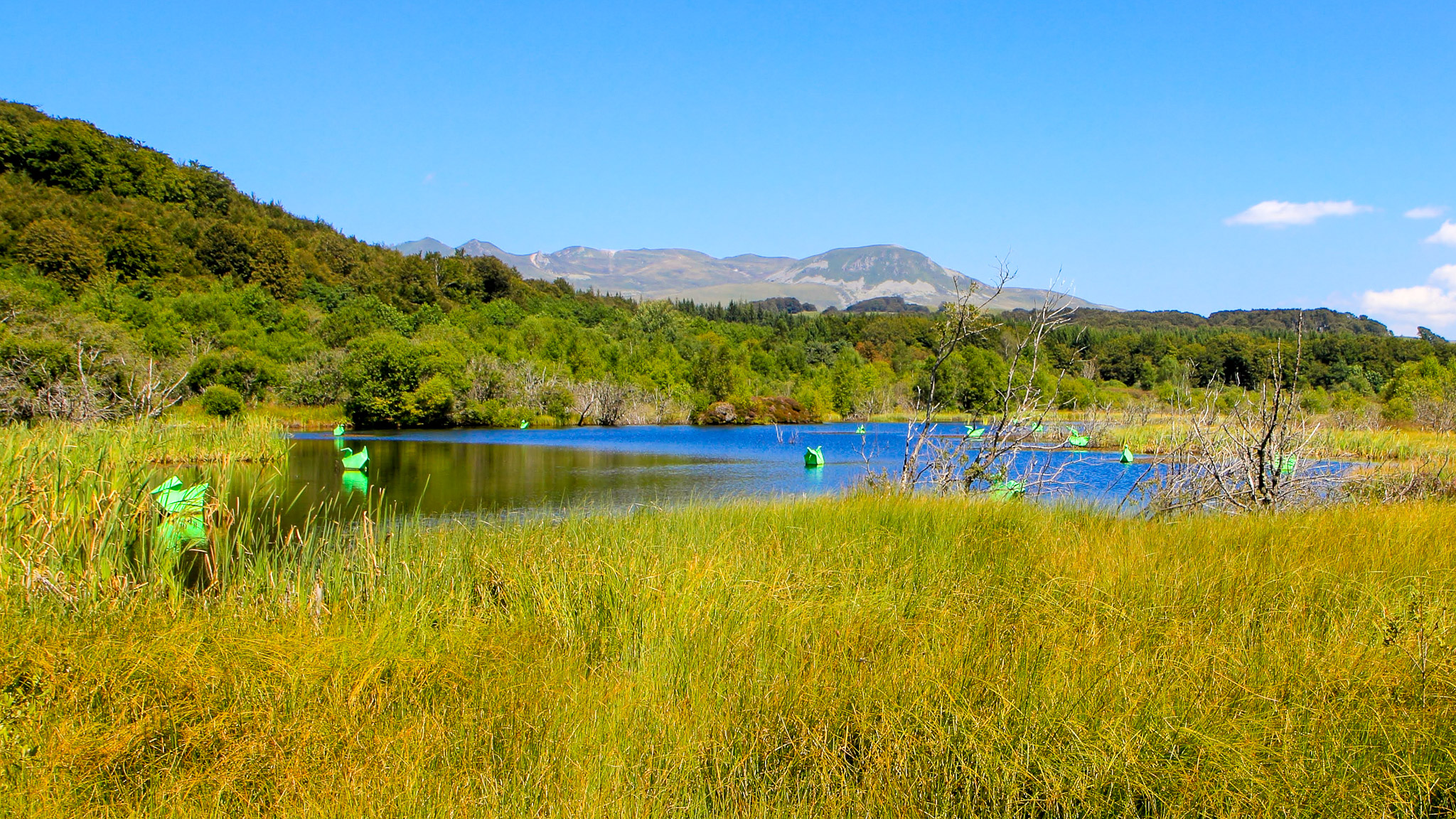 Lac de Gayme in Picherande