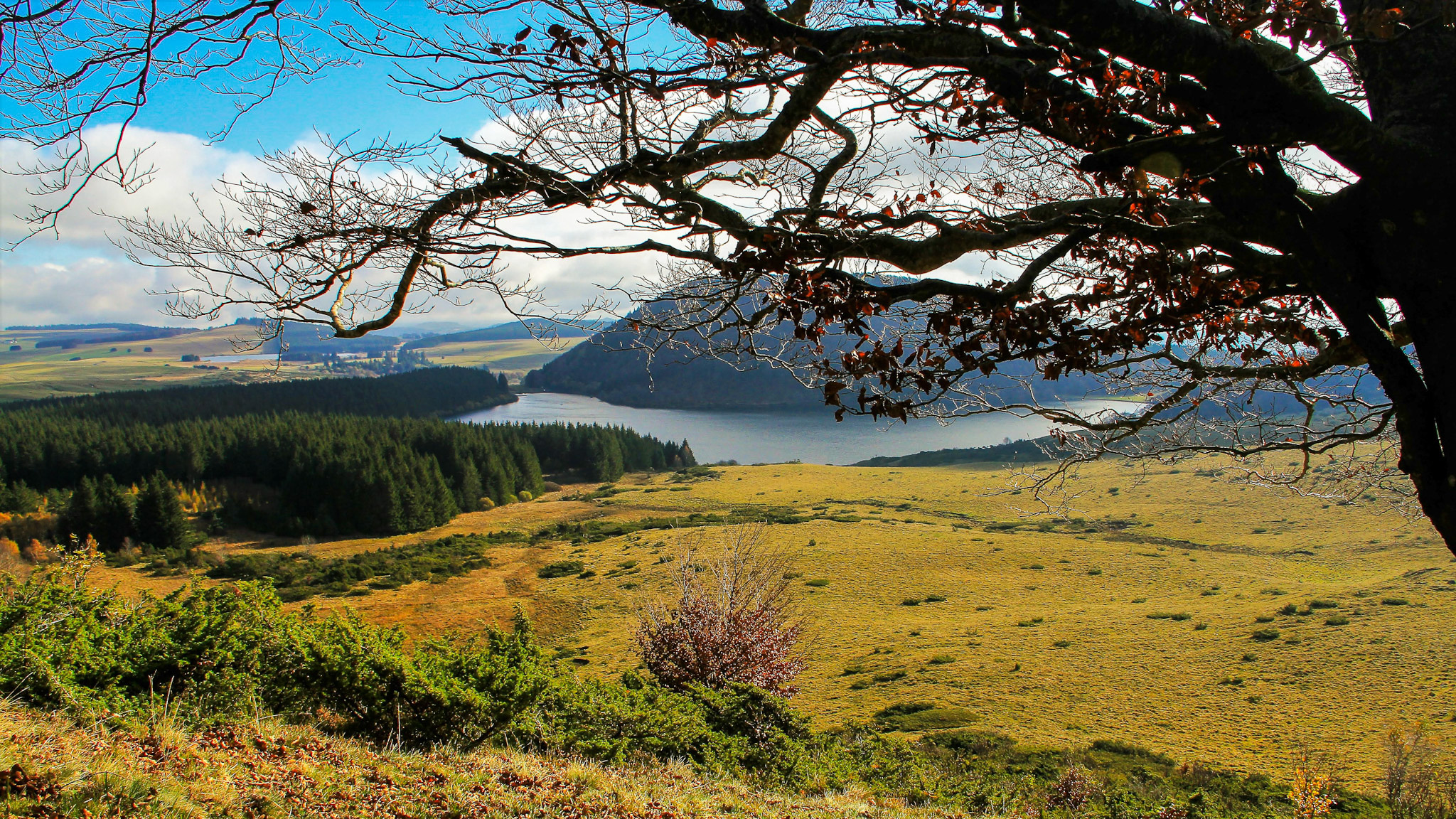  Lac de Montcineyre in Massif du Sancy