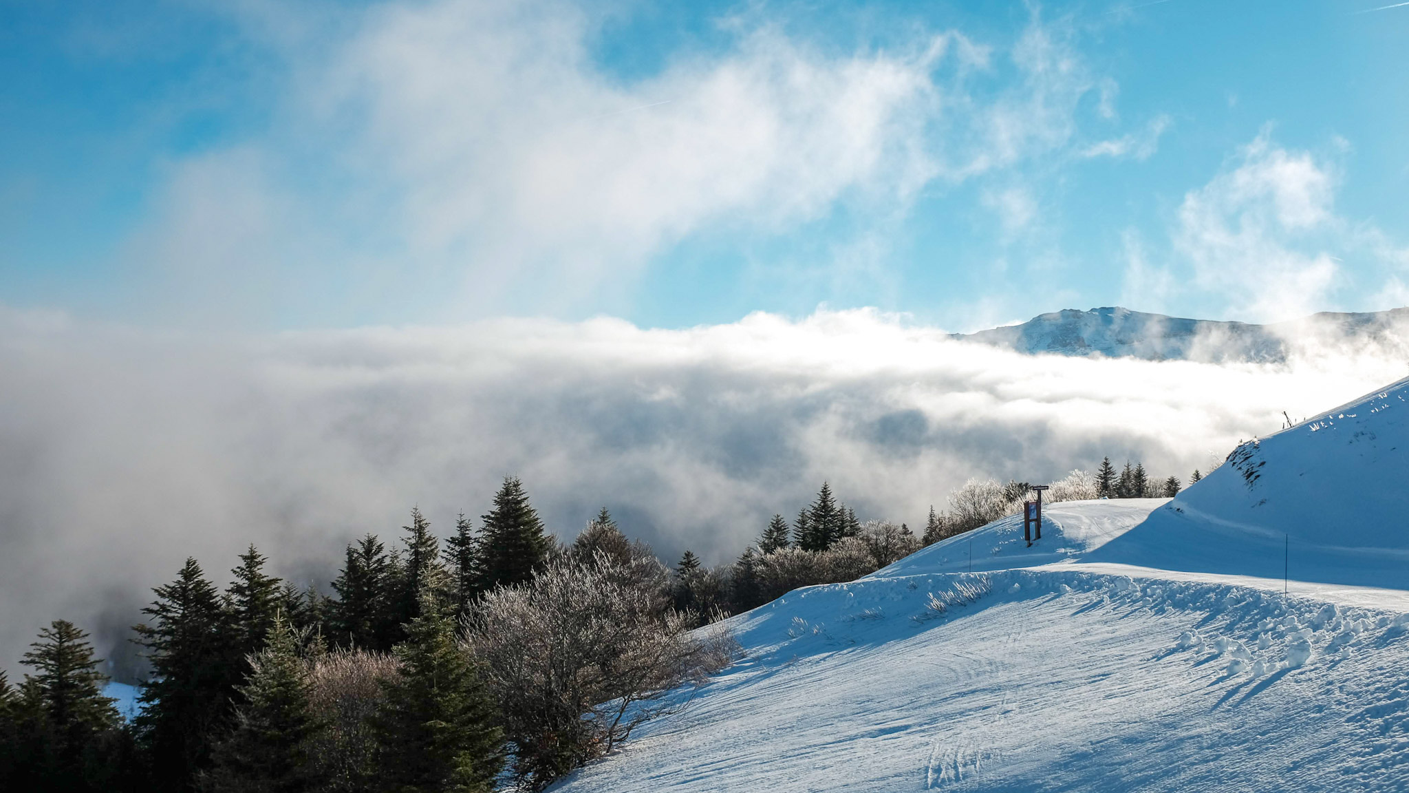 Sea of ​​clouds at Lioran in the Cantal Mountains