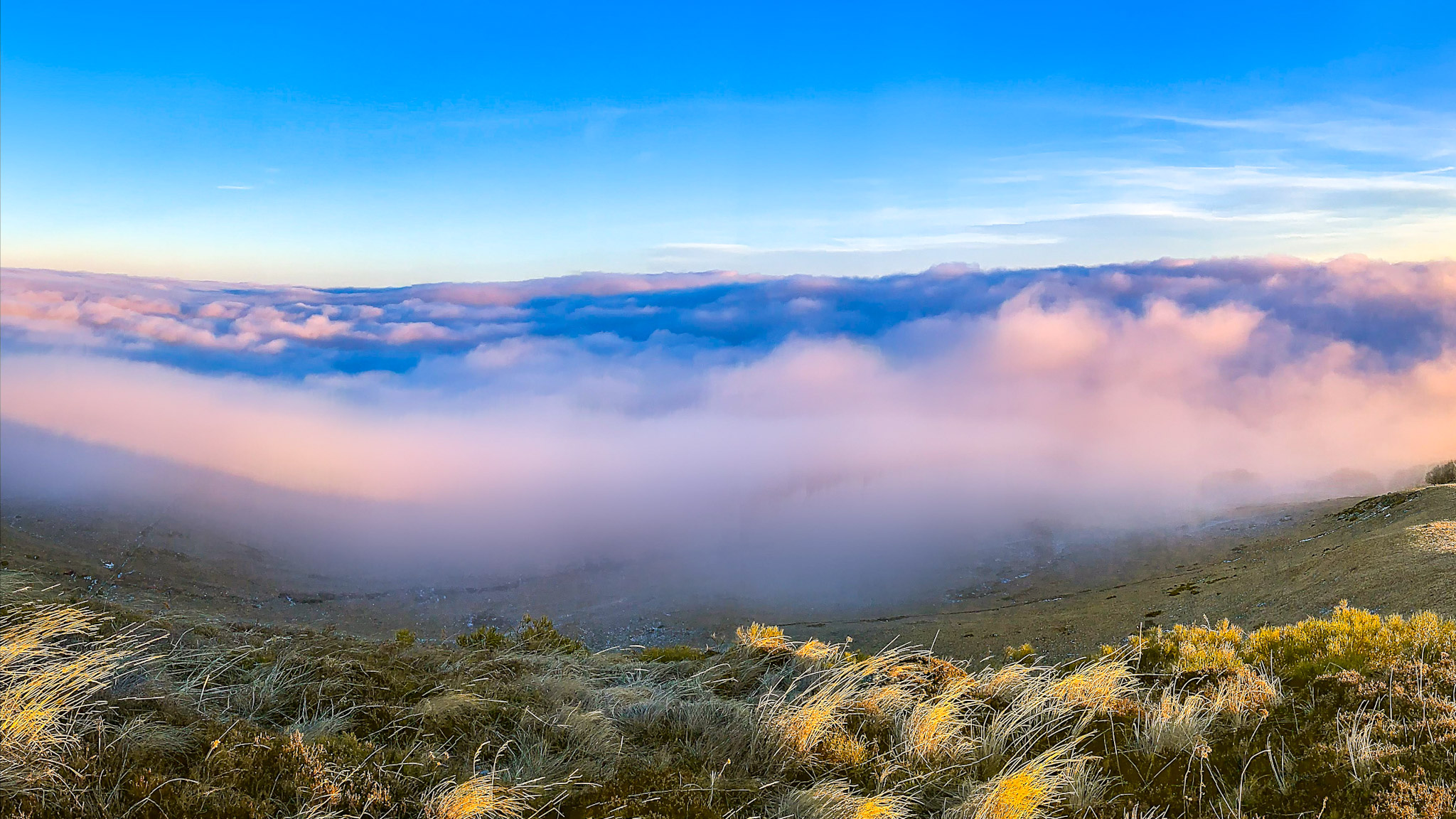 Sea of ​​Clouds in Massif du Sancy