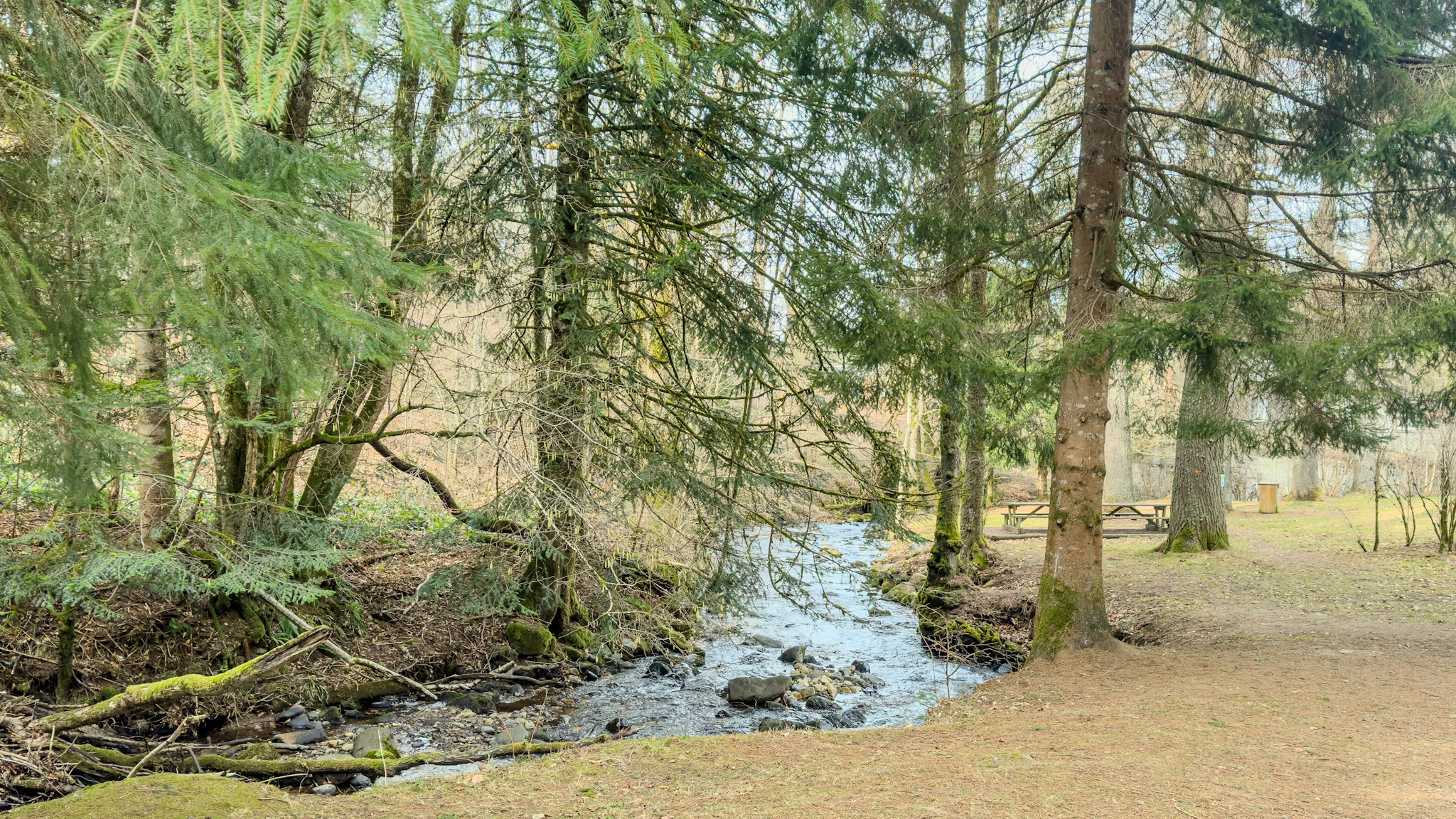 Ruisseau du Vendeix, tributary of the Dordogne to La Bourboule